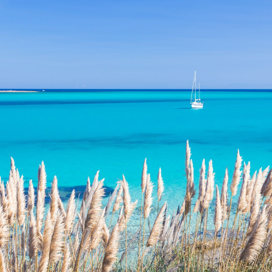 Tour in barca sardegna